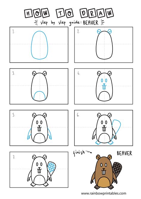 How To Draw A Beaver Easy