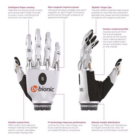 Image result for Bebionic Hand Users