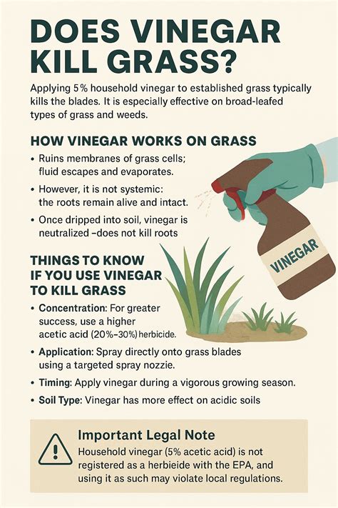 Does Vinegar Kill Grass?