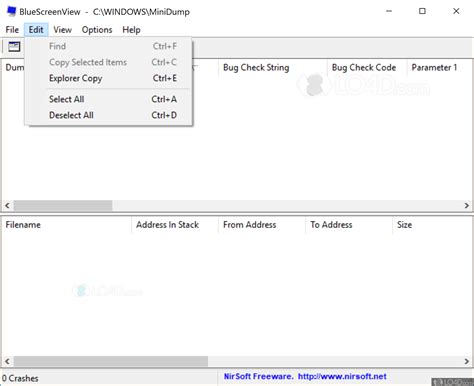 Image result for Blue Screen View