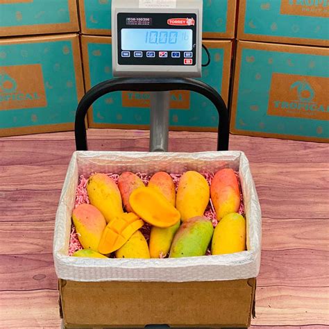 Mango Box 的图像结果