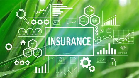 Image result for Program Business Insurance