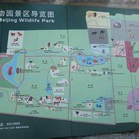 BEIJING WILDLIFE PARK (2026) All You Need to Know BEFORE You Go (with ...