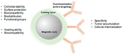 Magnetic Hyperthermia for Cancer Treatment: Main Parameters Affecting ...