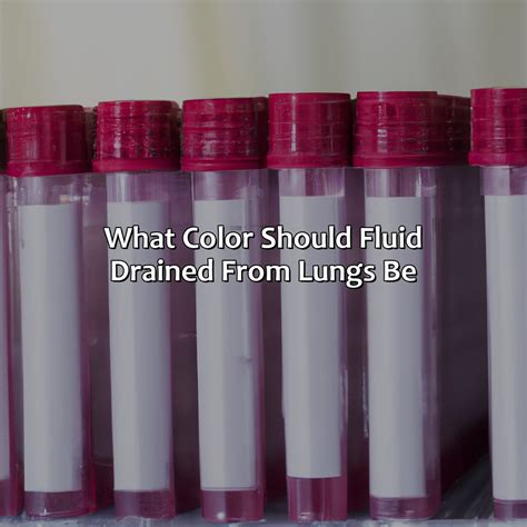 What Color Is Nutmeg - colorscombo.com