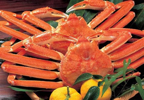 日本螃蟹知多少 | 别再花最贵的钱吃最廉价的蟹！ - 知乎