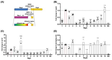 Improved Recombinant Adeno-Associated Viral Vector Production via ...