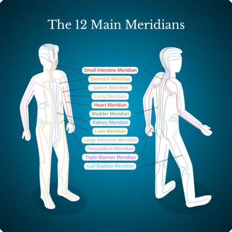 Image result for Meridian Tapping Points Chart