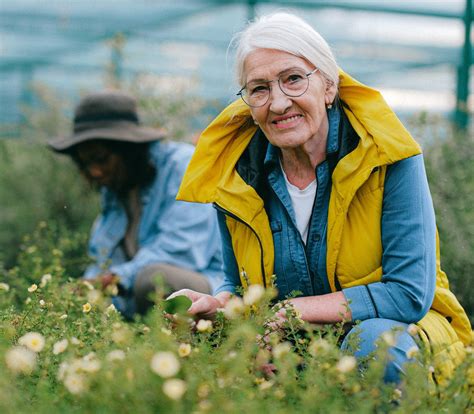 Older People 的图像结果