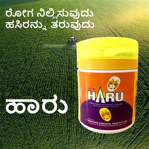 ಬೆಳೆ ಕಪ್ಪು-ಹಳದಿ ಉಂಟಾಗದಂತೆ ರಕ್ಷಿಸಿ - ಹಾರು (Sumitomo Haru) ರೋಗ ...