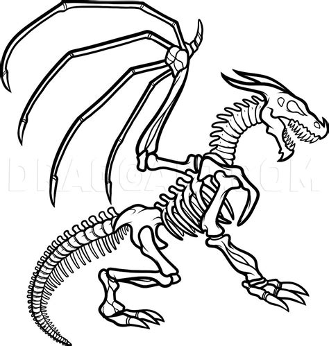 Dragon Skeleton Drawing 的图像结果