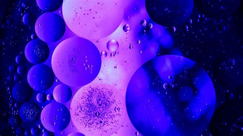 Wallpaper bubbles, air, circles, structure, transparent, purple, dark ...