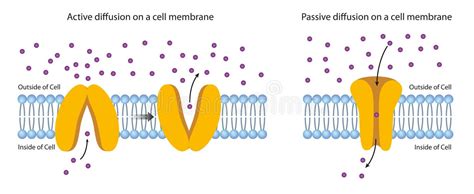 Passive Diffusion 的图像结果