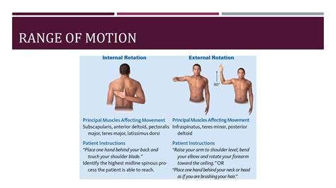 Shoulder Examination.pdf