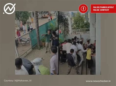 Fact Check: European Women Adopting Pigs To Avoid Harassment From ...