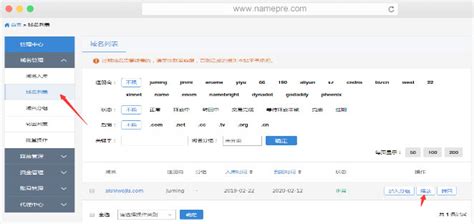 域名线上拍卖-域名拍卖流程技巧-域名在线拍卖平台-NamePre