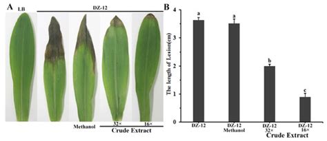 The Role of Pyoluteorin from Pseudomonas protegens Pf-5 in Suppressing ...