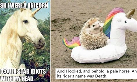 Unicorn Funny Meme