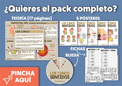 Los 5 Sentidos para Niños (Teoría + Actividades)