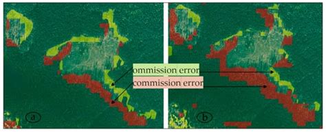 Monitoring Forest Cover Dynamics Using Orthophotos and Satellite Imagery