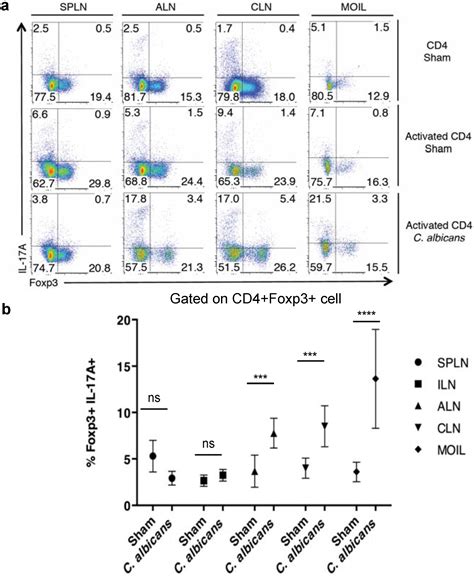 TLR-2 Signaling Promotes IL-17A Production in CD4+CD25+Foxp3 ...