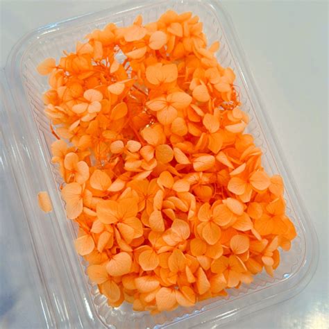 Orange Hydra Flowers Box – Resin24