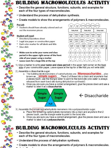 Image result for Macromolecules Building Blocks