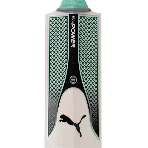 Buy Puma Evo Power 6.17 Unisex Green Cricket Bat Online