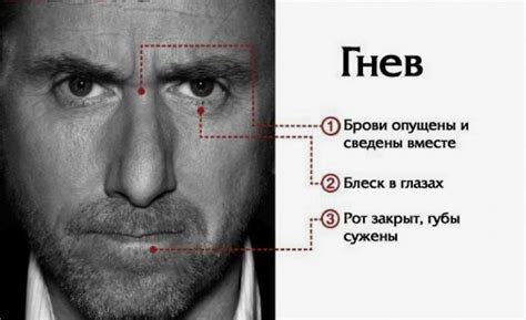 Урок 3. Мимика и выражение лица