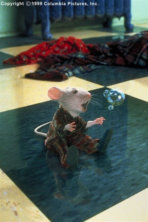 Image result for Stuart Little Washing Machine