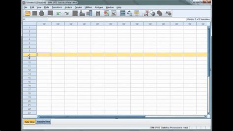 Image result for SPSS Software Tutorial