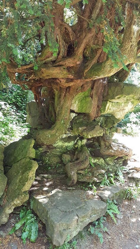 Devil's Pulpit (Tidenham) - 2021 What to Know Before You Go (with ...