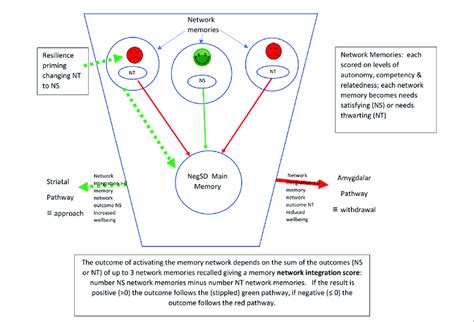 Memory Pathways 的图像结果