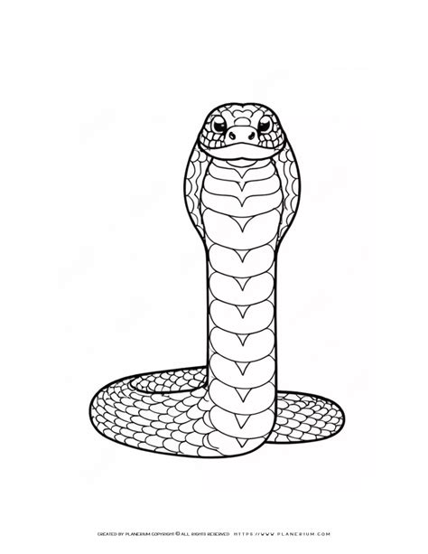 Snake Coloring Page Snakes Hibernate Coloring Page Twisty Noodle