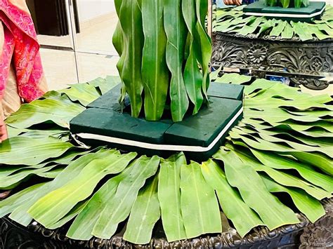 TAJ GANGES VARANASI - Hotel Reviews, Photos, Rate Comparison - Tripadvisor