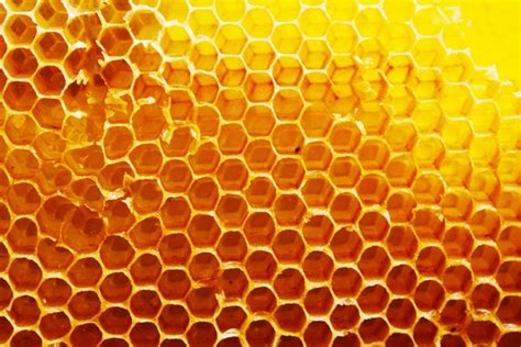 15,616 Beehive Structure Royalty-Free Images, Stock Photos & Pictures | Shutterstock