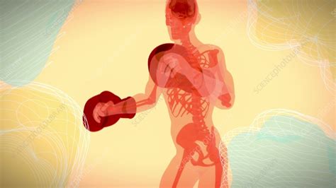 Image result for Boxer Engine Animation