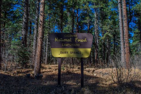 Dairy Springs Campground, an Arizona National Forest