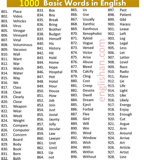 1000+ Basic Words List in English Used in Daily Life