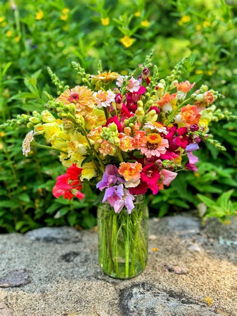 Homemade Flower Food: A Simple Recipe for Beautiful, Long-Lasting ...