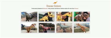 Company Overview - Dino Walk Science&Technology Inc.