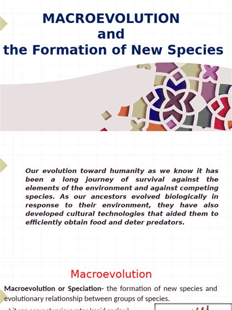 Image result for How Tmacroevolution