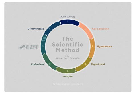 Scientific Method 的图像结果