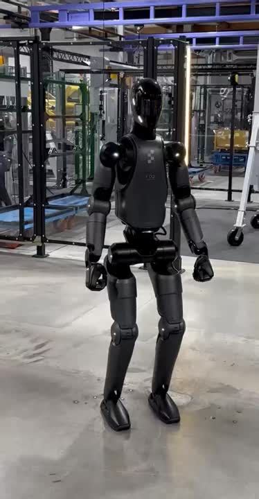 Humanoid 的图像结果