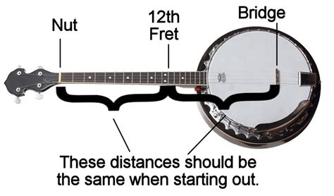 How to String a 4 String Banjo 的图像结果