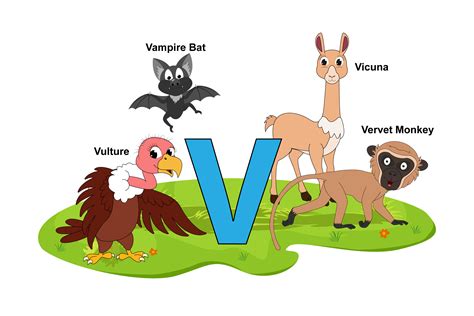 Animals That Start With The Letter V