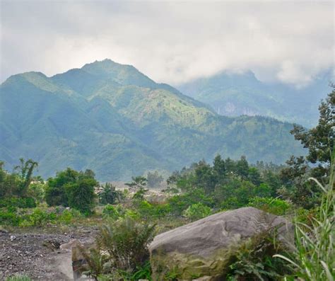 Image result for How Doni Make a Java Coffee