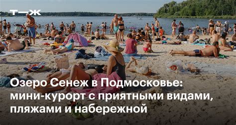 Озеро Сенеж в Подмосковье: как добраться и что посмотреть в окрестностях