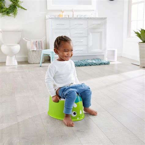 Buy Fisher Price Dino Potty Seat Online at Best Price in India ...