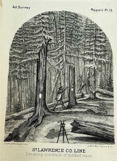 Lot - 1874 Report of The Topographical Survey of The Adirondack ...